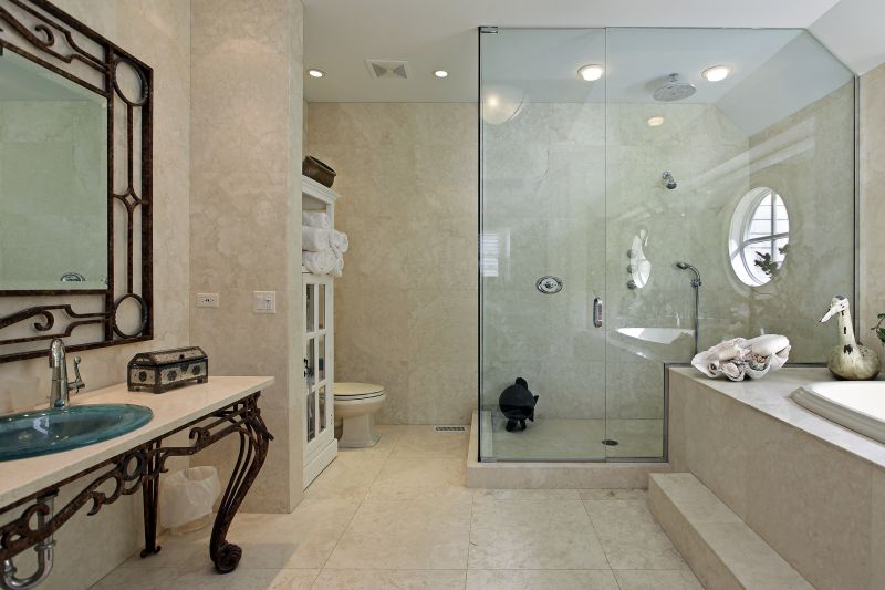 Elegant Shower Niche